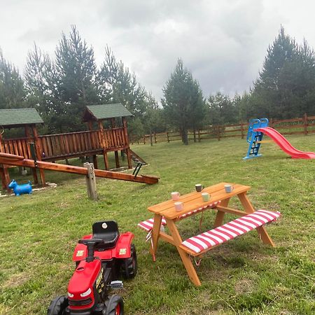 Vila Carna Zlatibor Buitenkant foto